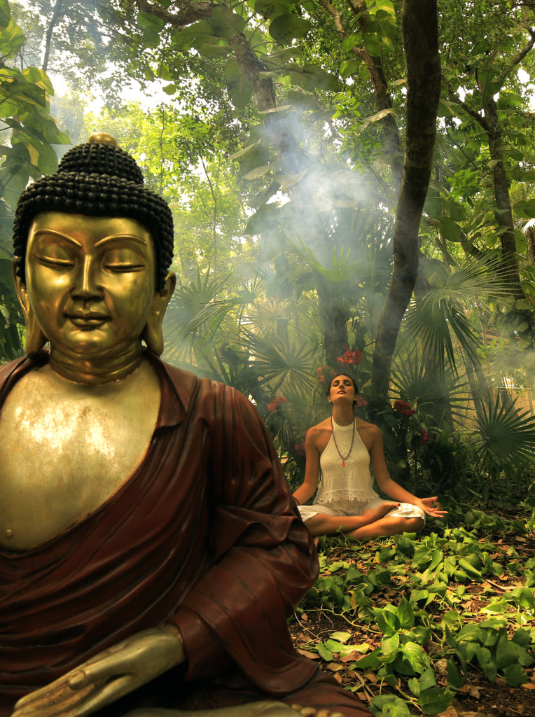 Girl and Buda Meditation