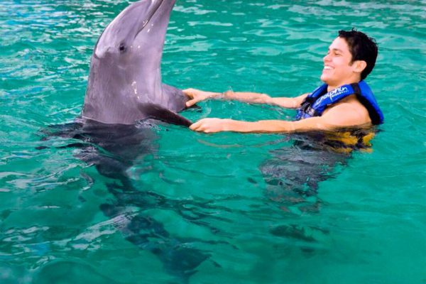 Dolphin Xtreme Aventuras Mayas