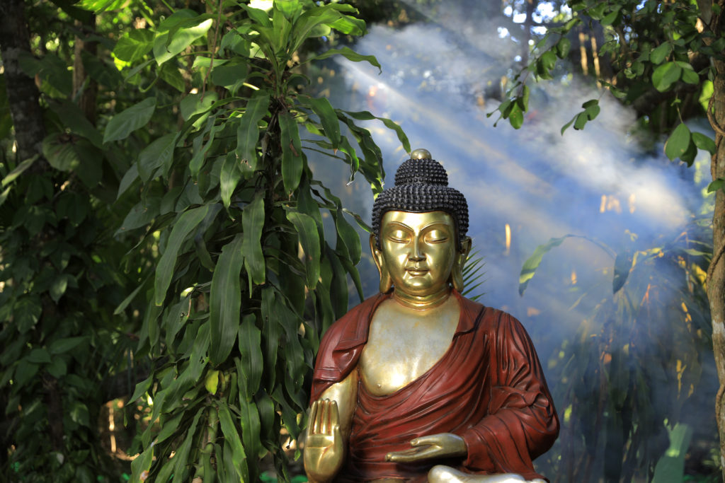 Buda at Xolumado