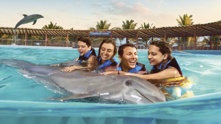 Playa-del-carmen-dolphin-discovery