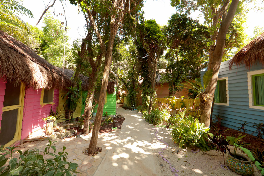 Xolumado Alley